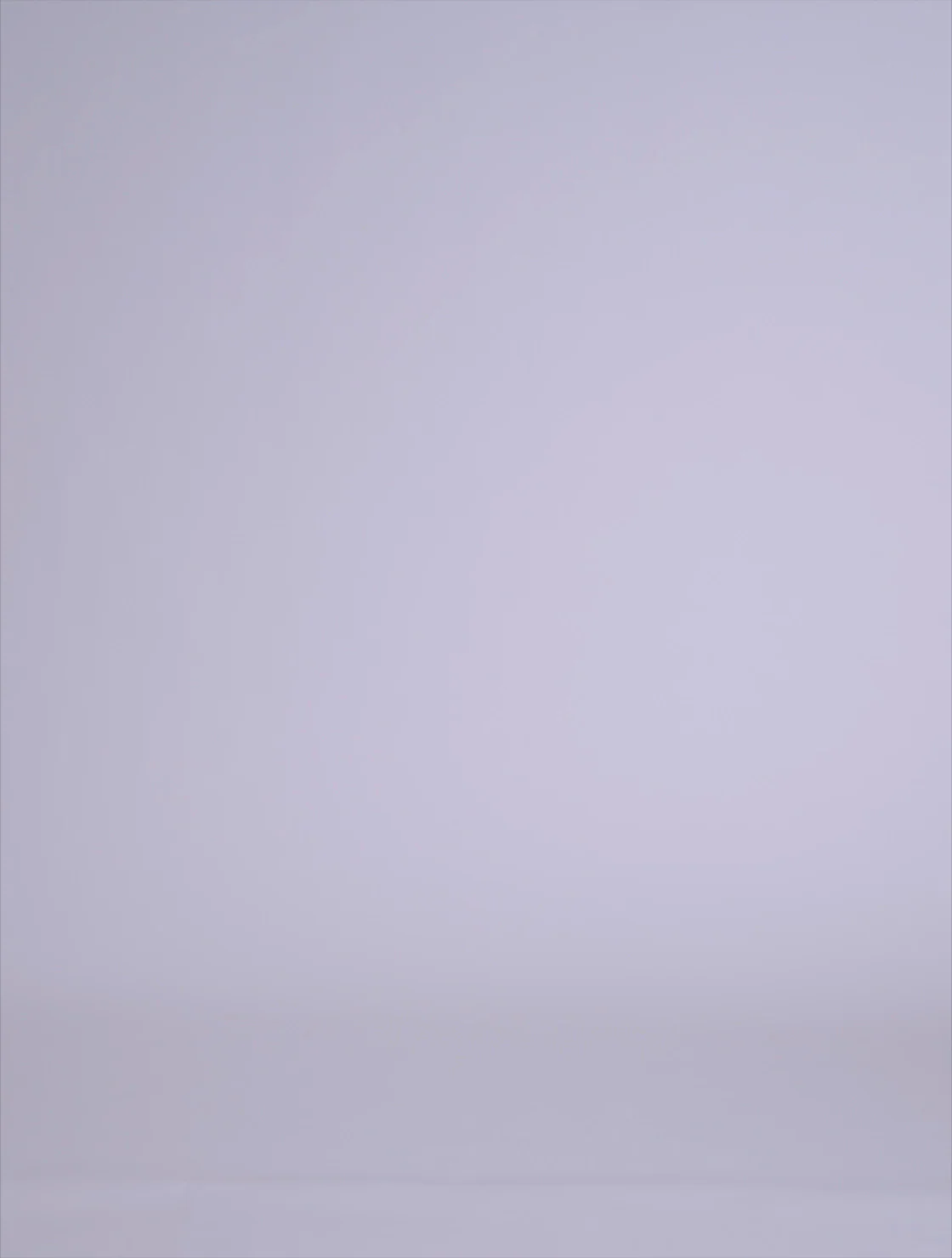 E5216-DISTRIBUTOR - Image 3